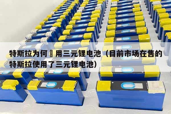 特斯拉将把磷酸铁锂电池供应链引入美国